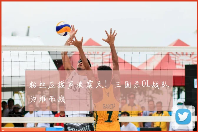 粉丝应援声浪震天!三国杀OL战队为谁而战