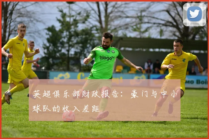 英超俱乐部财政报告：豪门与中小球队的收入差距