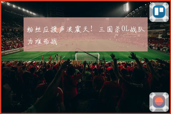 粉丝应援声浪震天!三国杀OL战队为谁而战