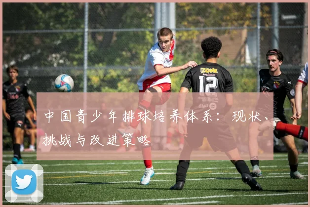 中国青少年排球培养体系:现状、挑战与改进策略