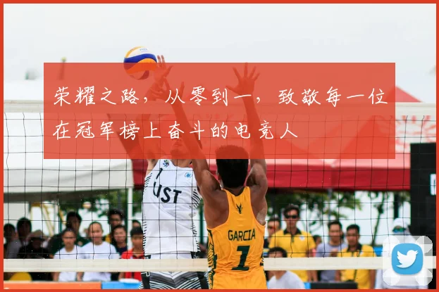 荣耀之路，从零到一，致敬每一位在冠军榜上奋斗的电竞人