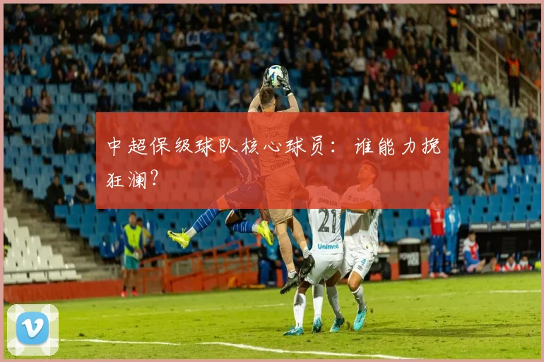 中超保级球队核心球员:谁能力挽狂澜?
