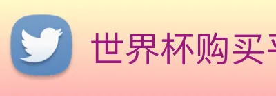 世界杯购买平台，世界杯官网 logo